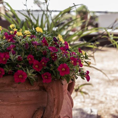 B&B Al Vecchio Forno Montepulciano Zewnętrze zdjęcie
